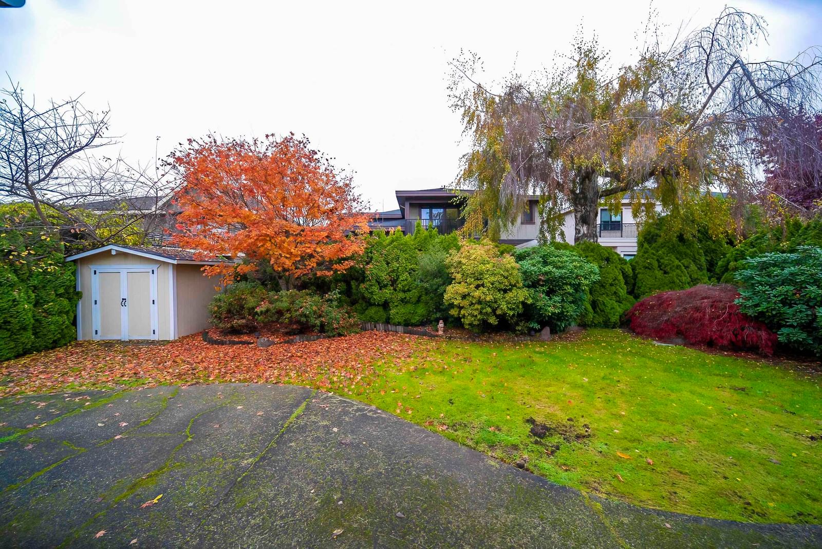Listing Image 31