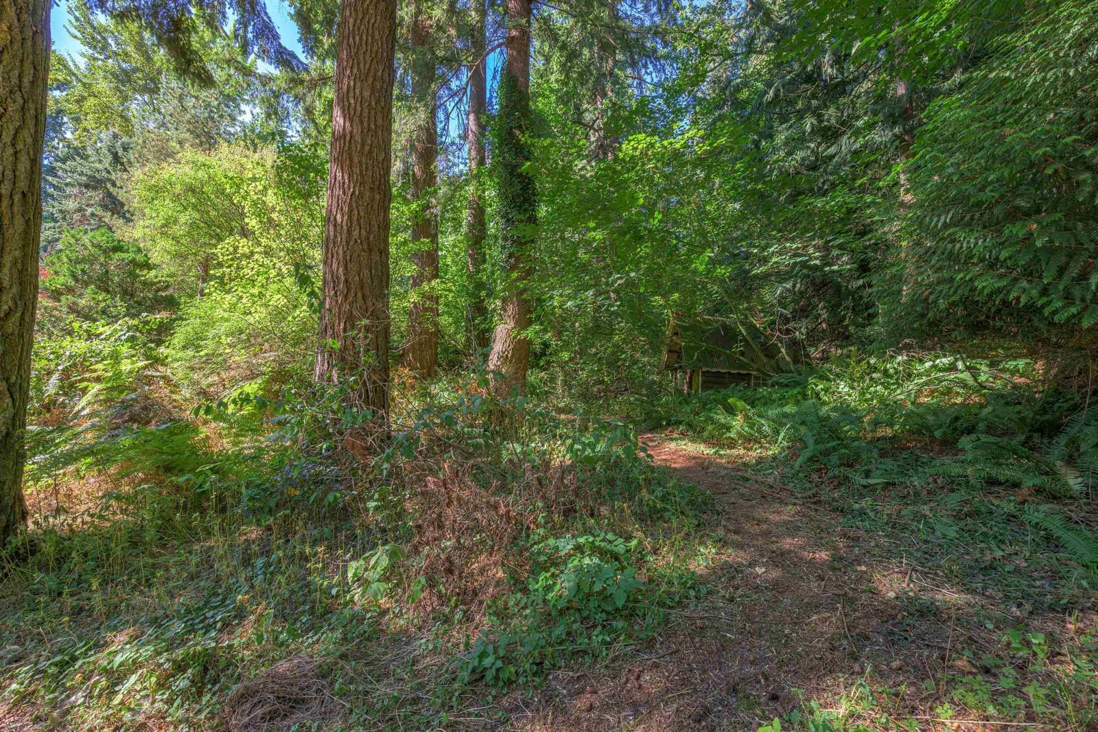 Listing Image 37