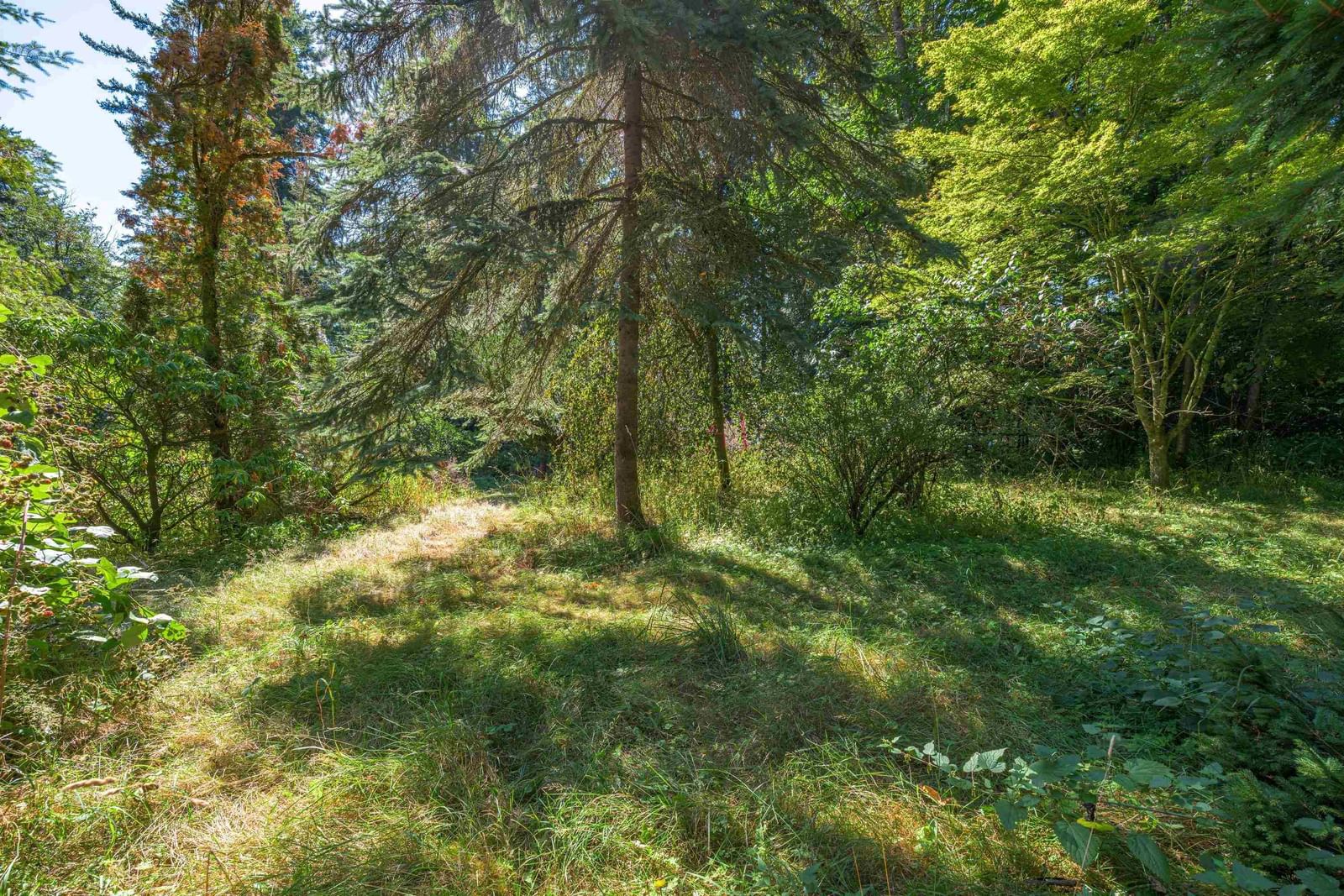 Listing Image 39