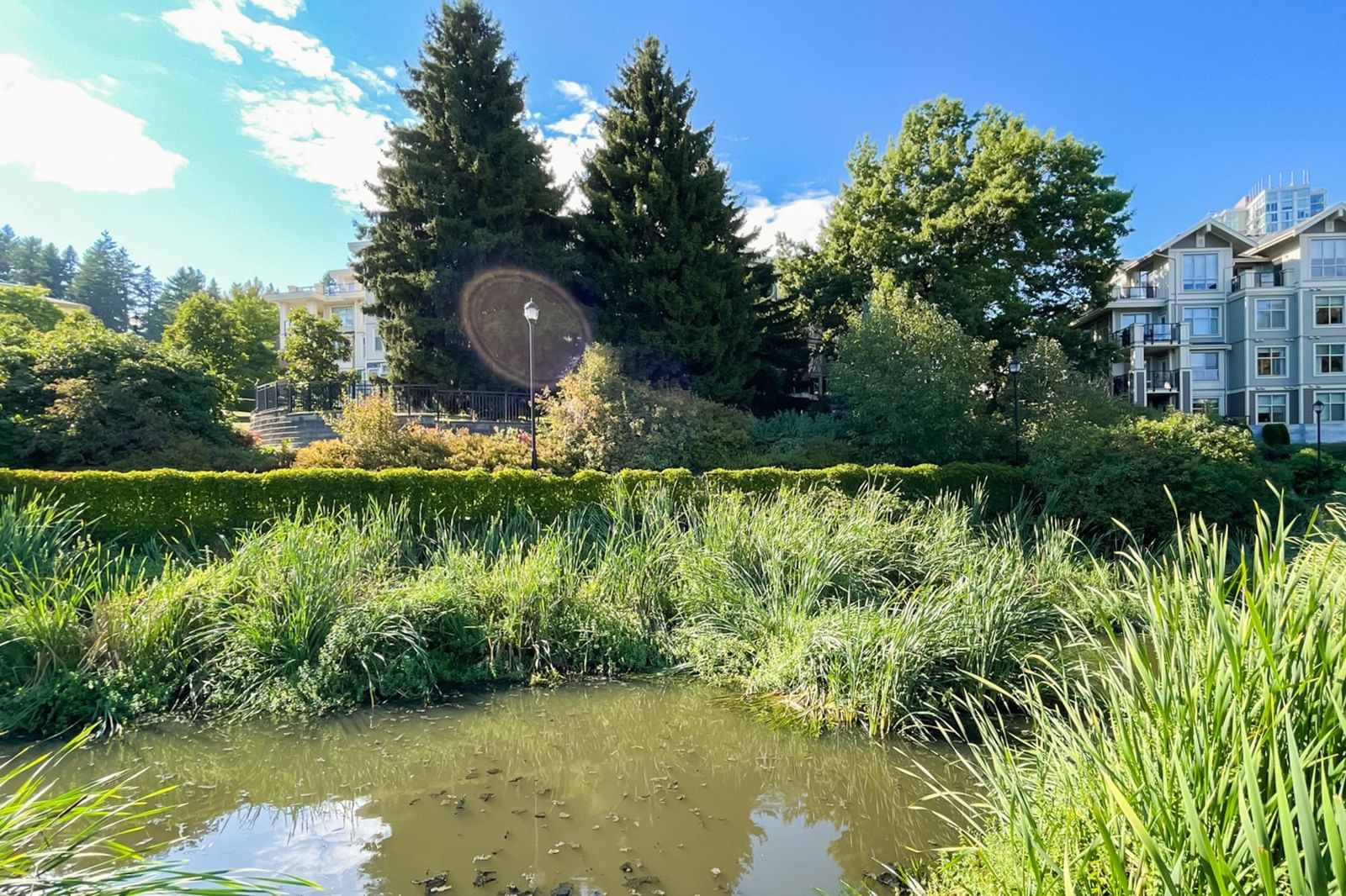 Listing Image 34