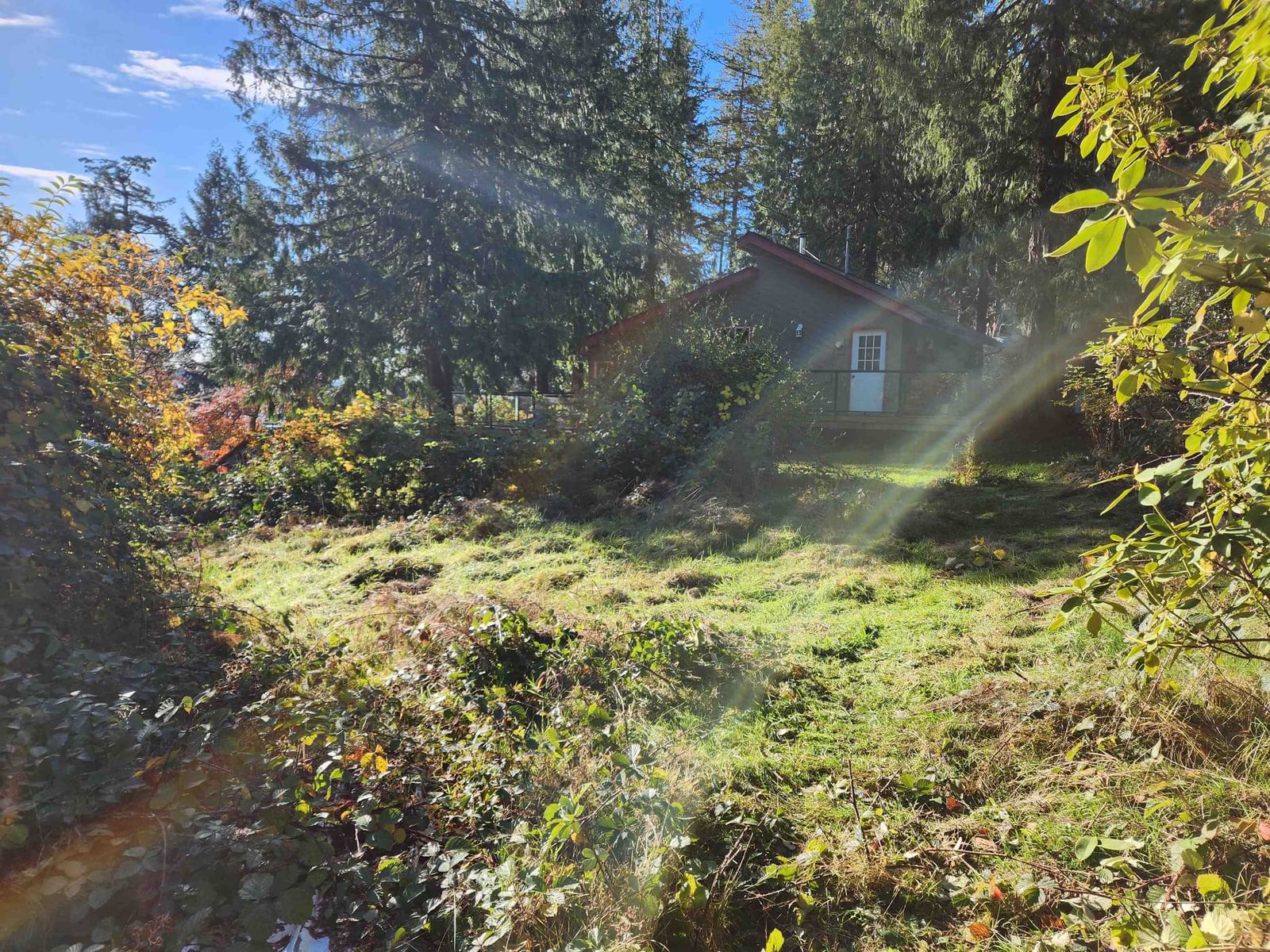 Listing Image 11