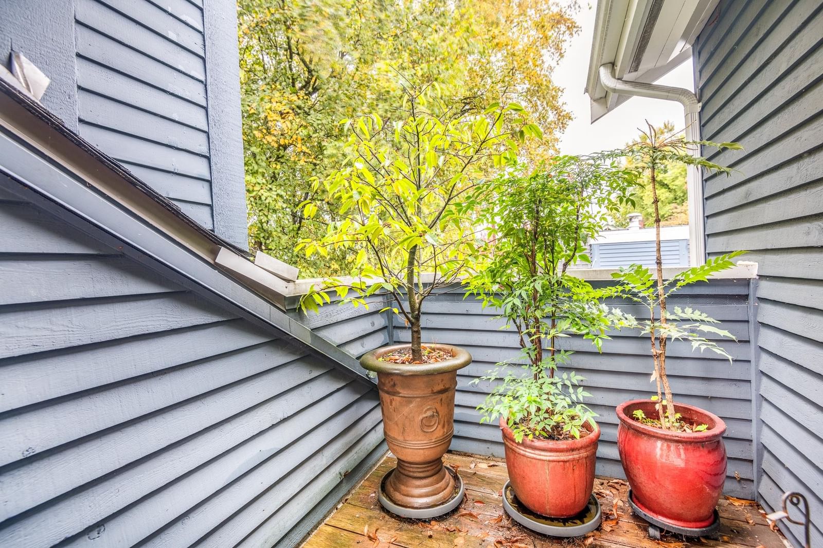 Listing Image 27