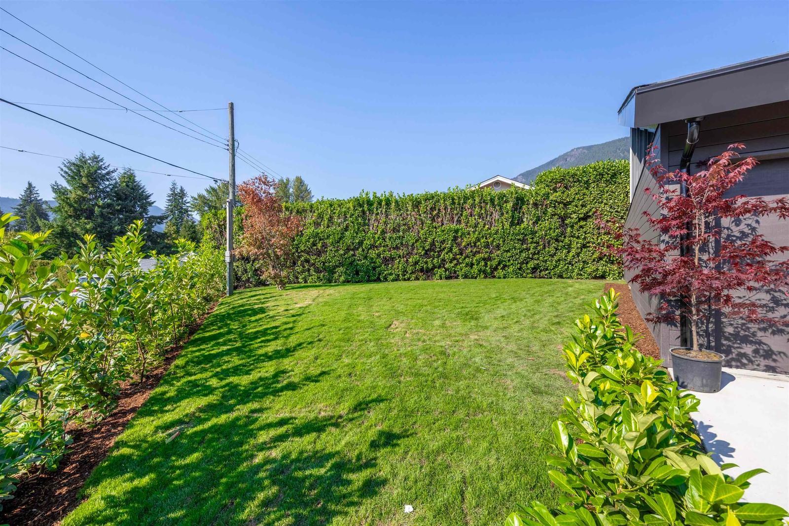 Listing Image 37