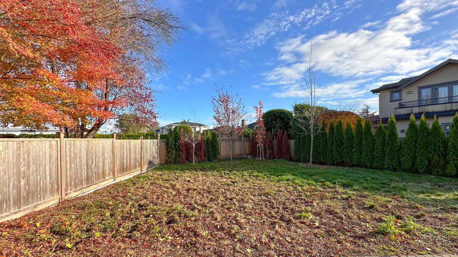 Listing Image 22