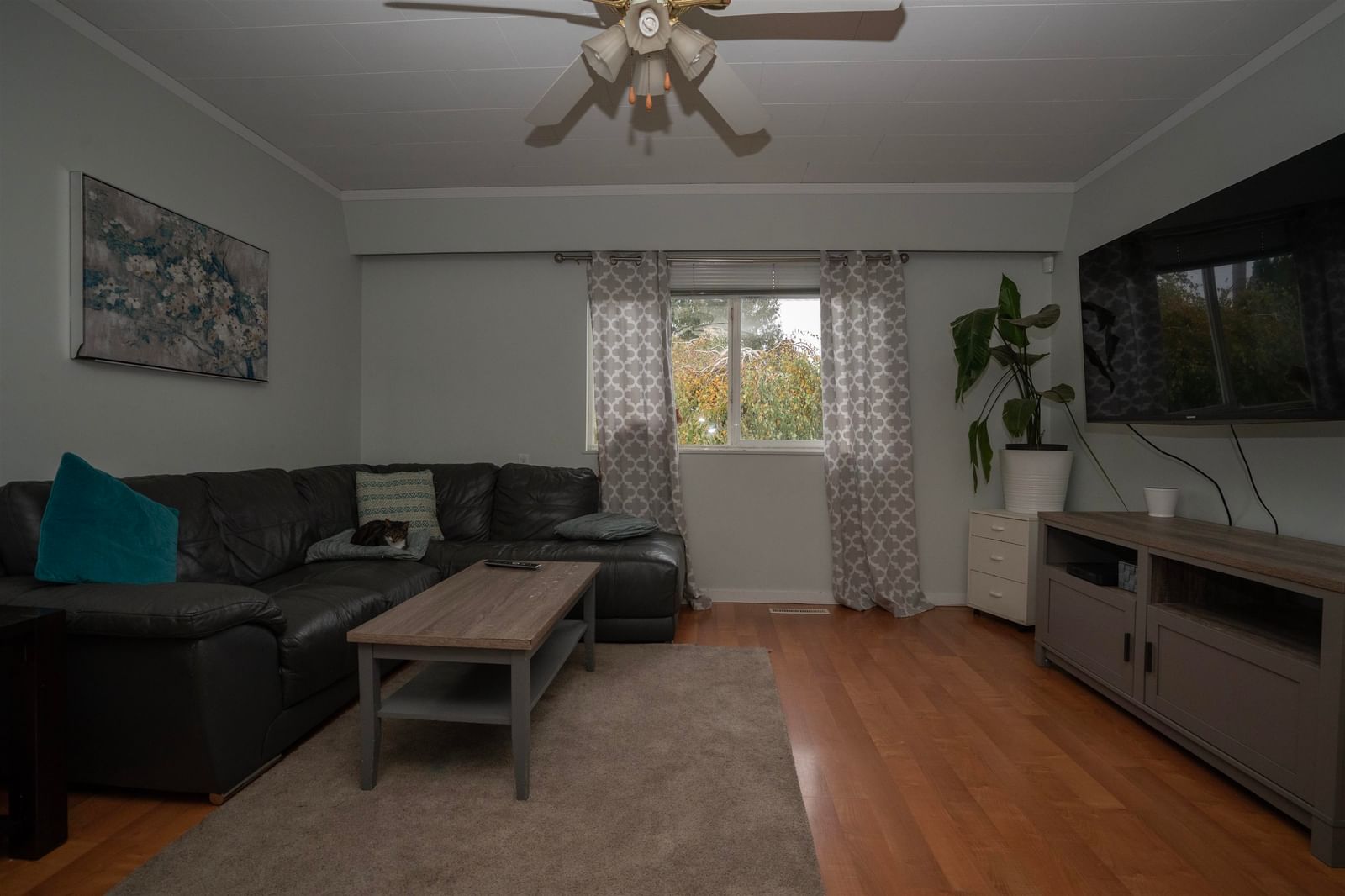 Listing Image 16