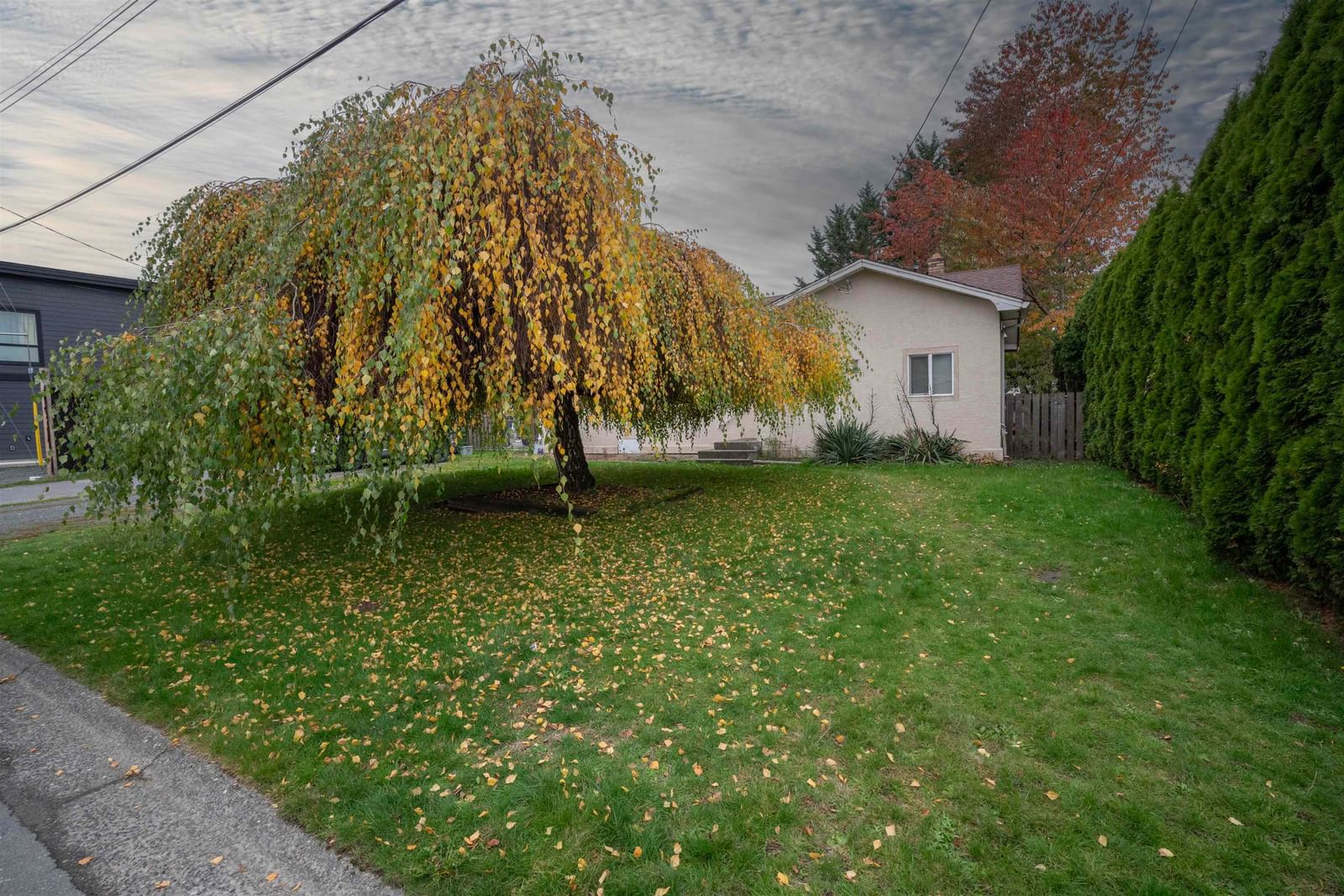 Listing Image 23