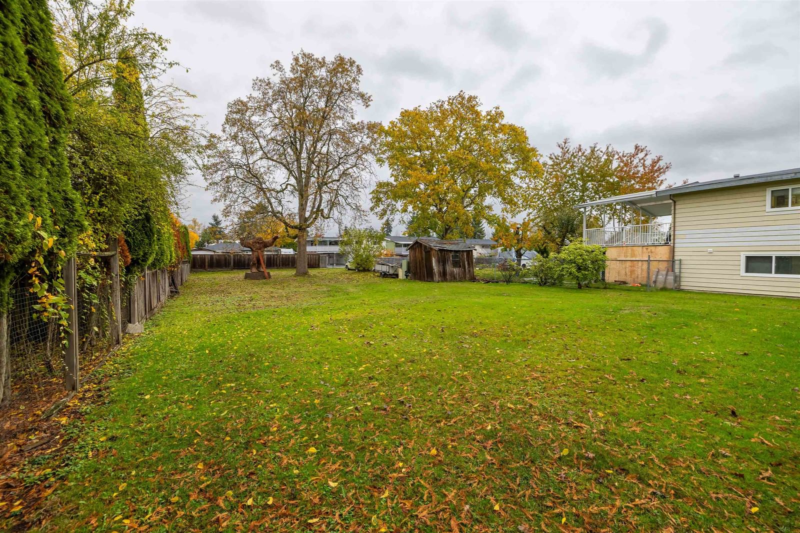 Listing Image 19