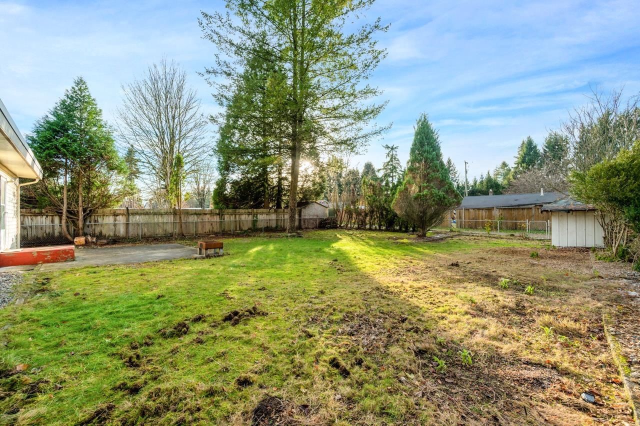 Listing Image 18