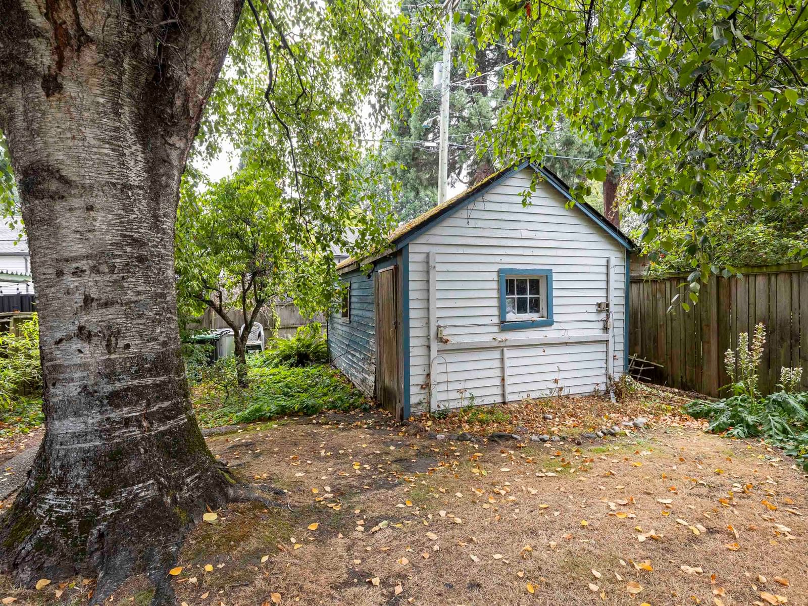 Listing Image 33