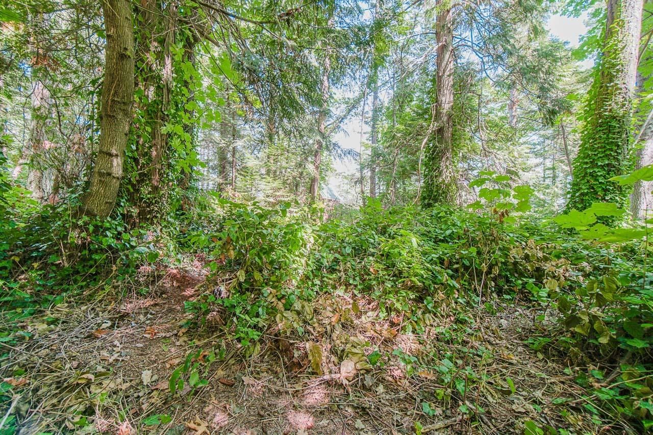 Listing Image 28