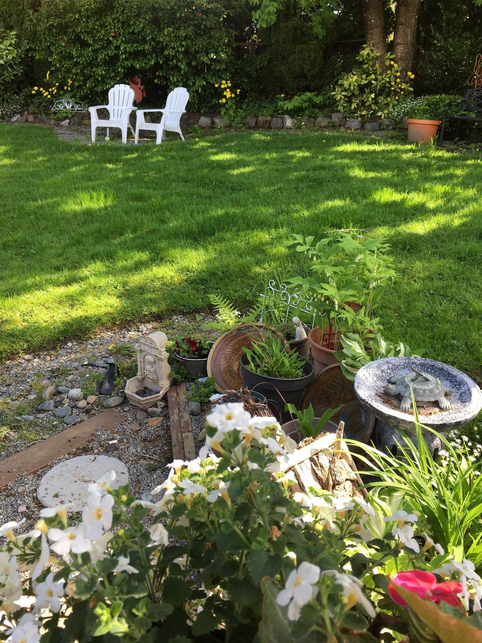 Listing Image 29