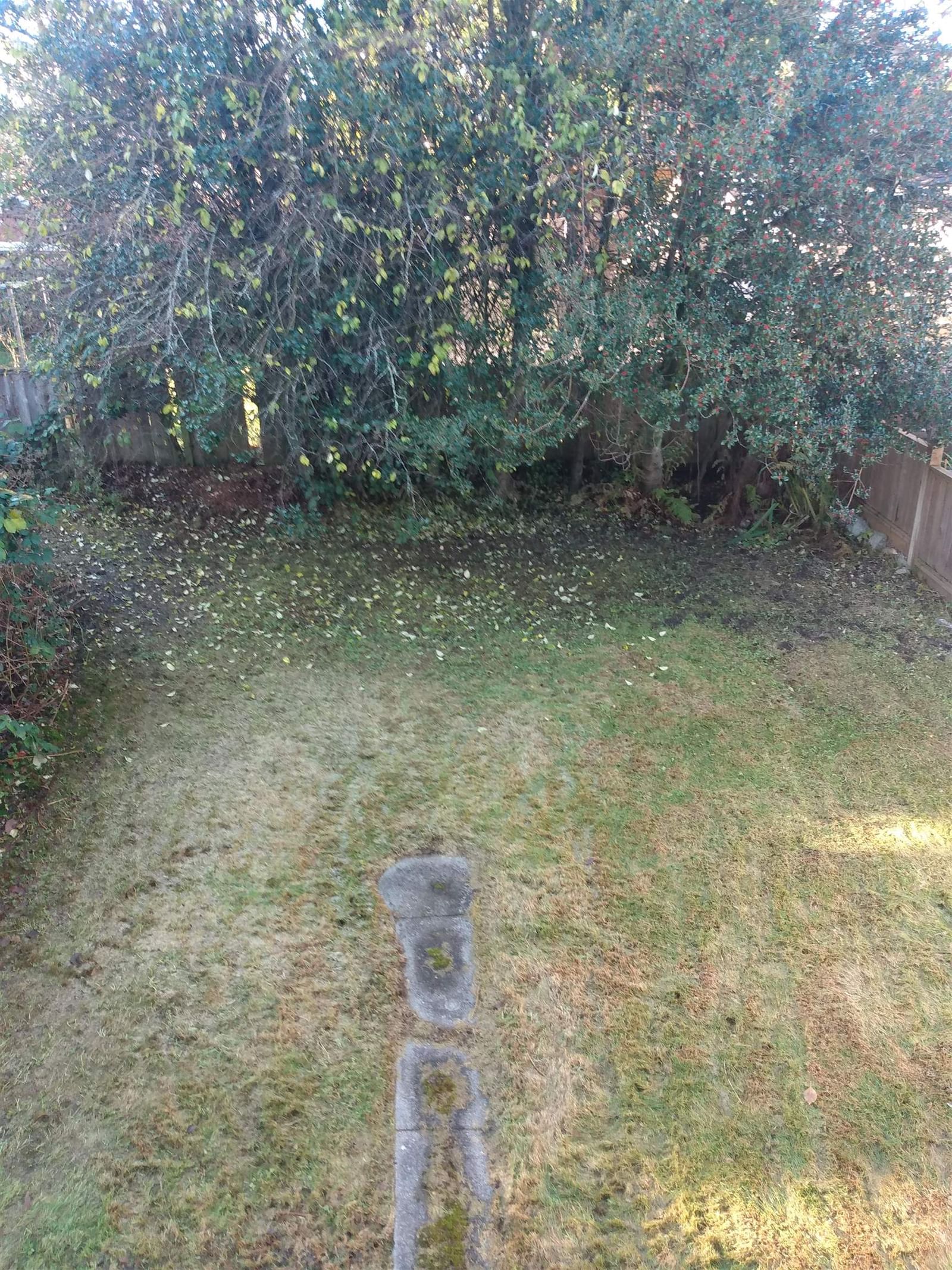 Listing Image 17