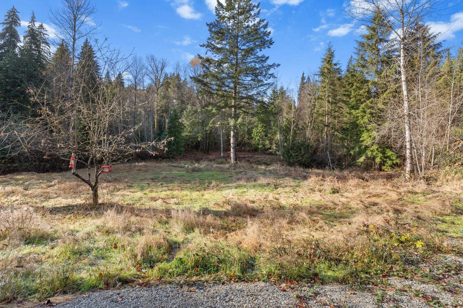 Listing Image 24