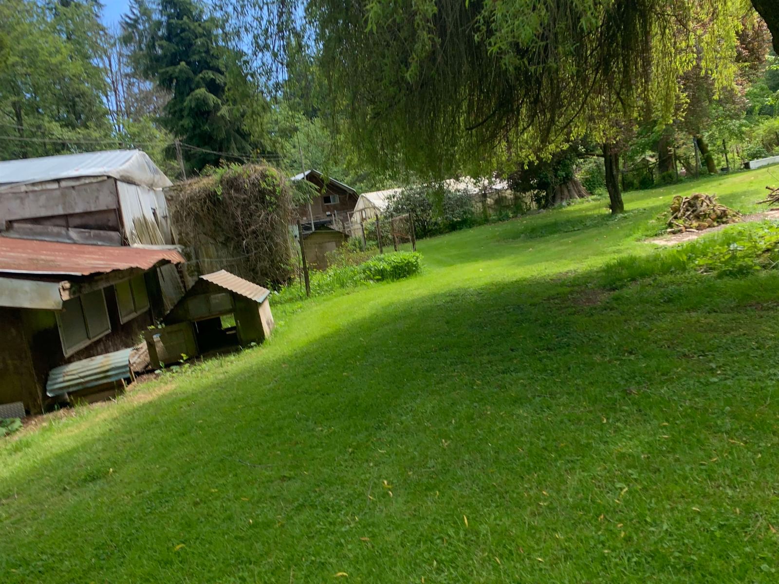 Listing Image 21