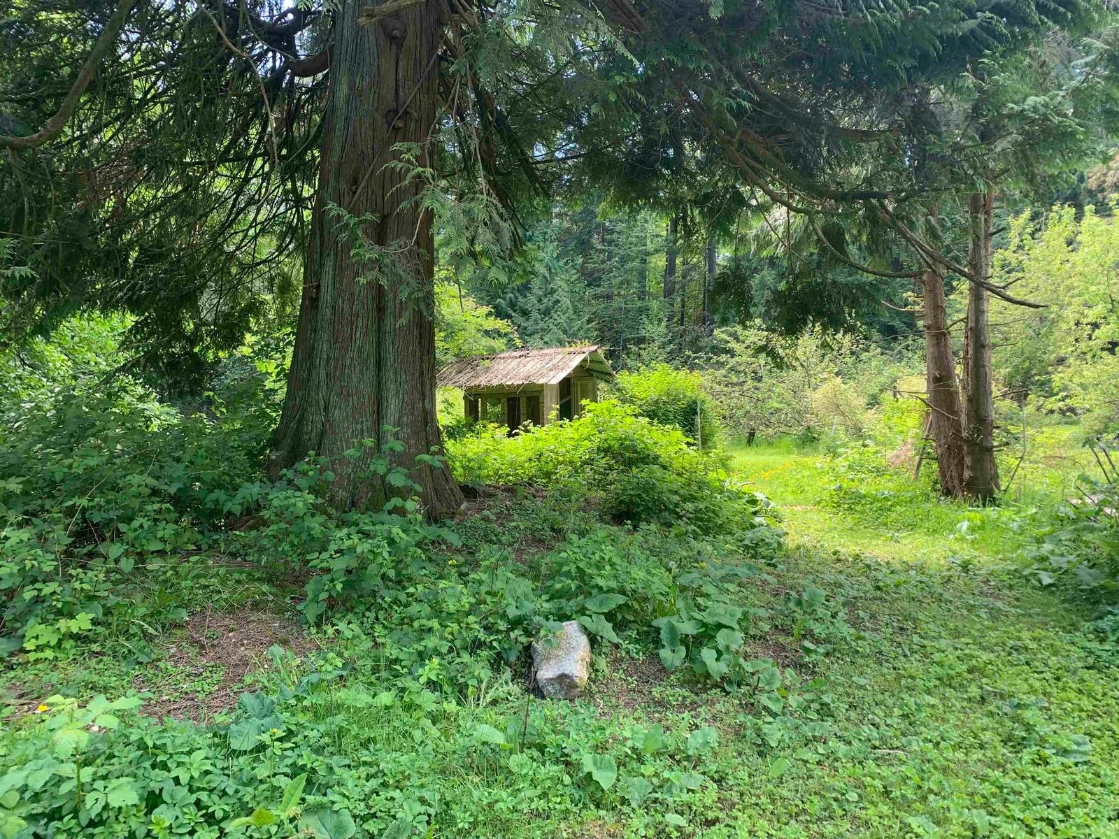 Listing Image 23