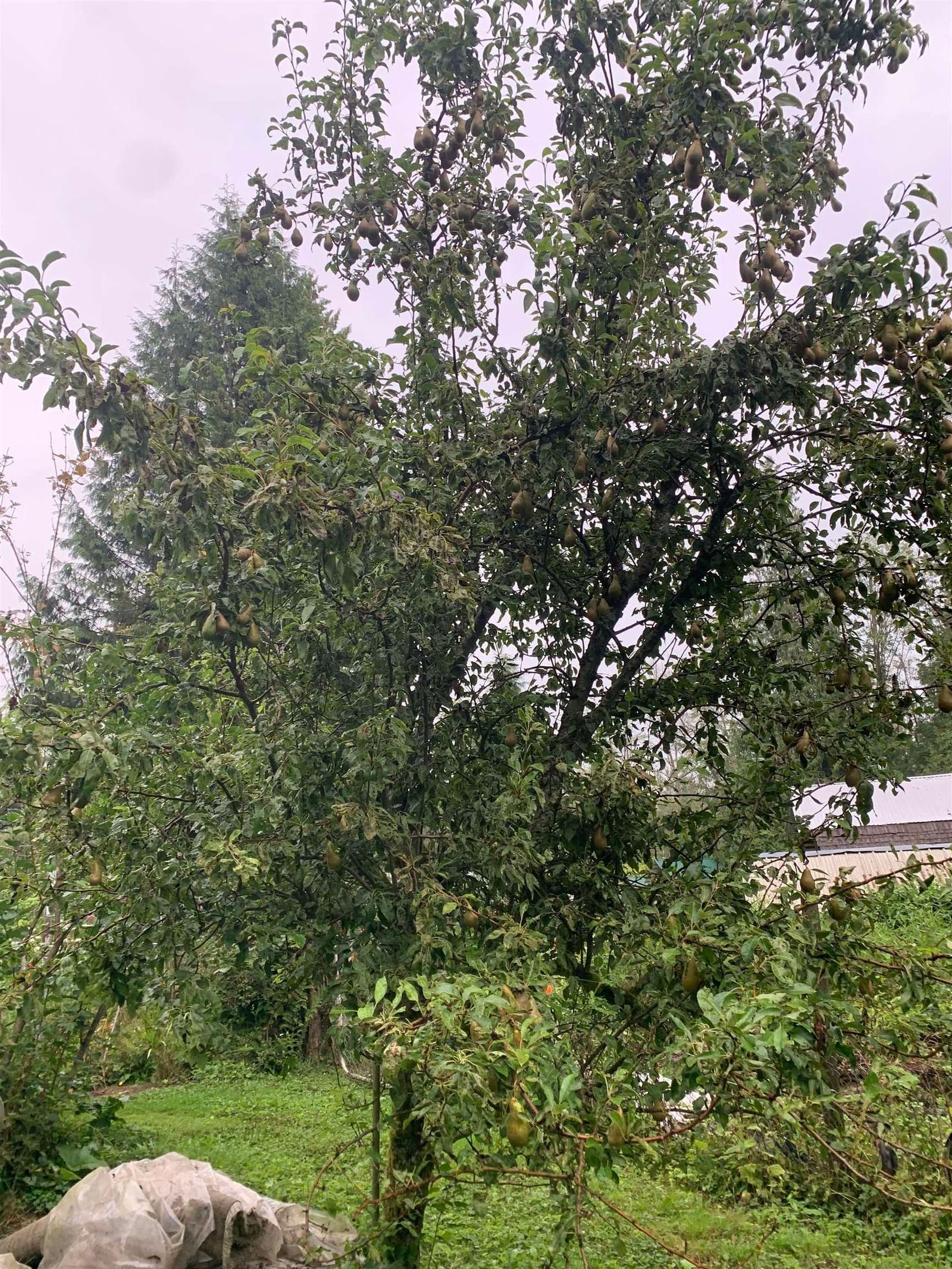 Listing Image 25