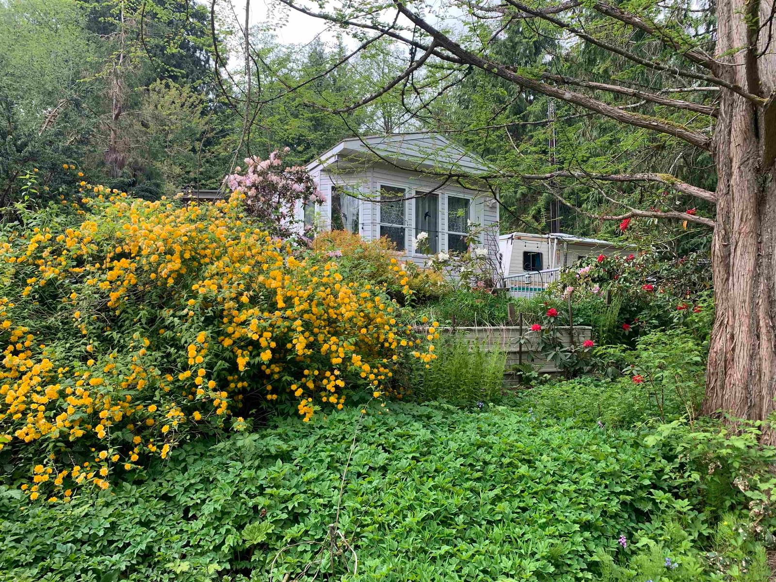 Listing Image 30