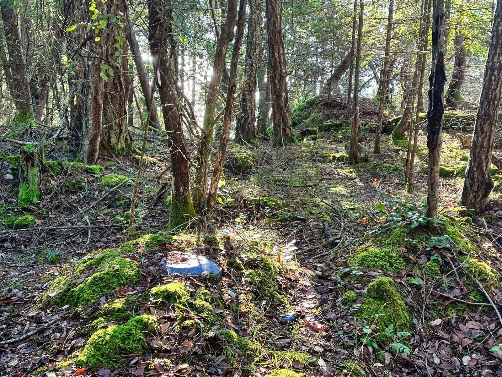 Listing Image 16