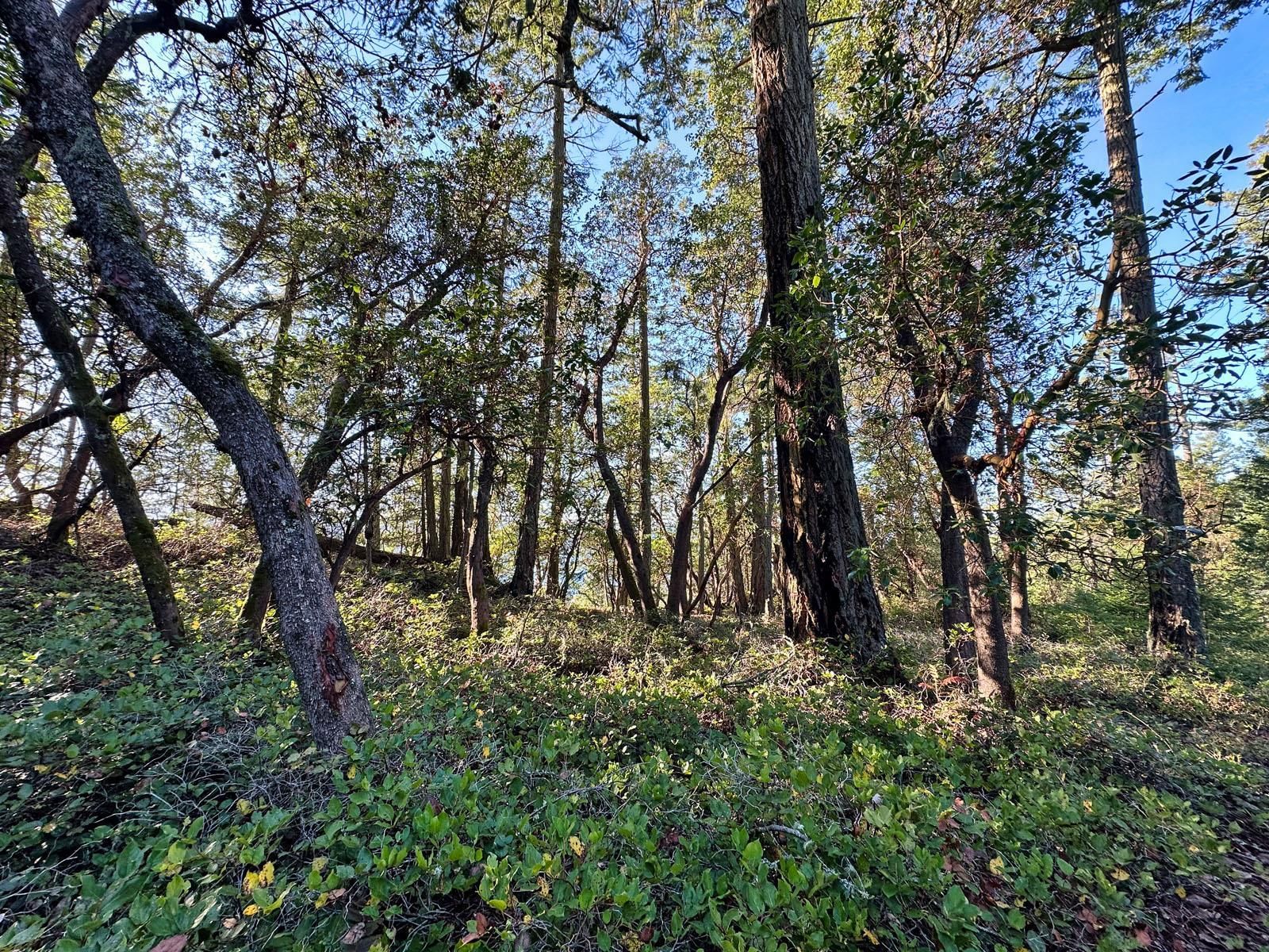 Listing Image 17