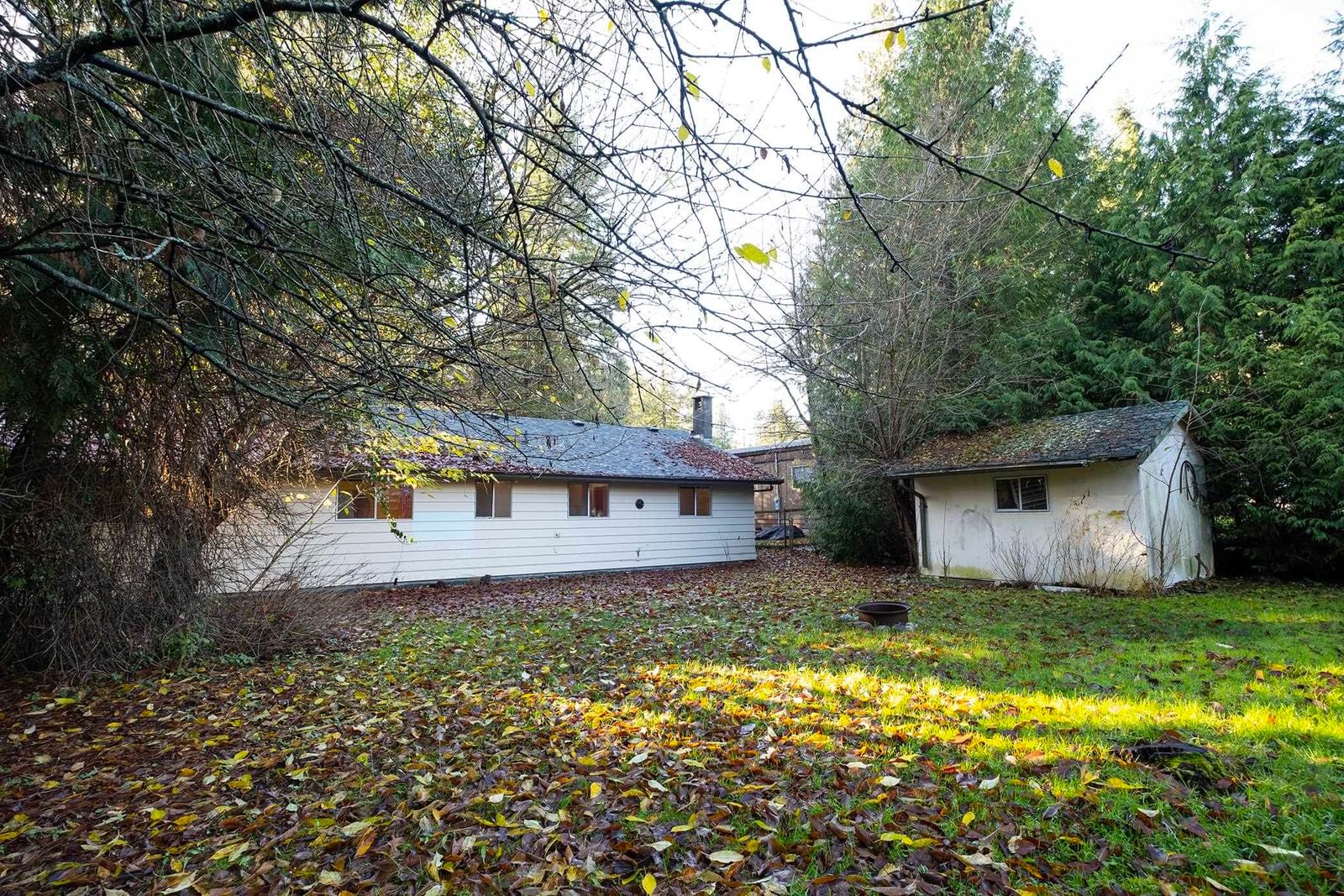 Listing Image 31