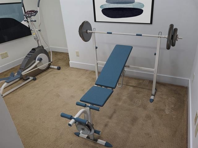 Listing Image 14