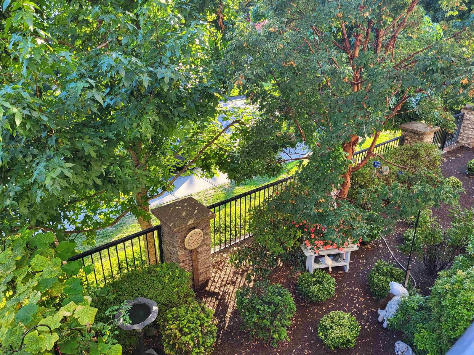Listing Image 18