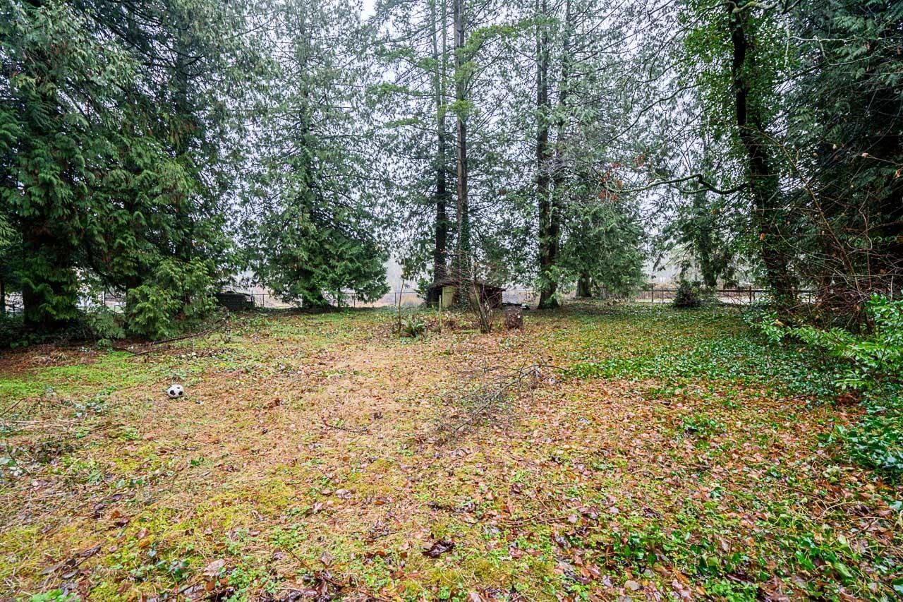 Listing Image 18