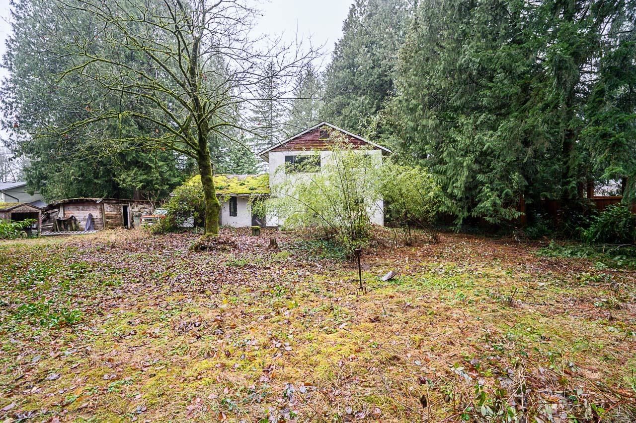 Listing Image 19