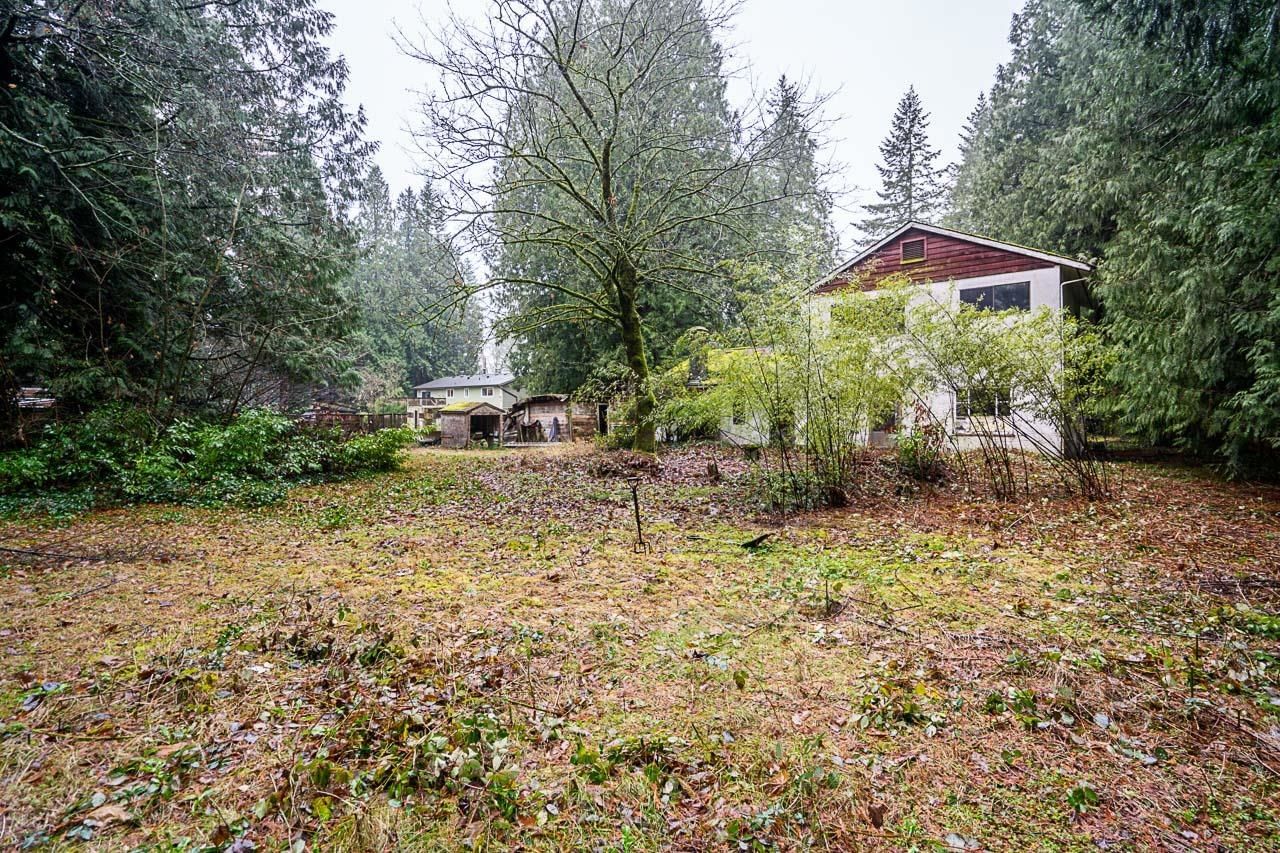 Listing Image 20
