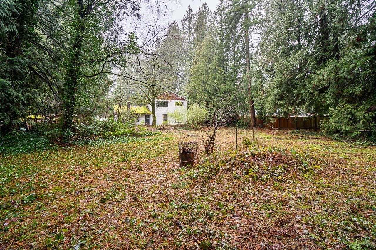 Listing Image 24