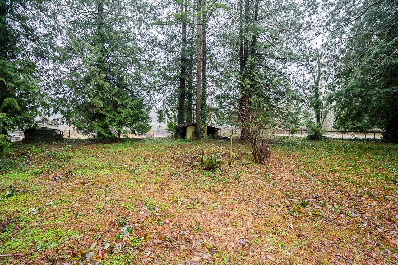 Listing Image 25