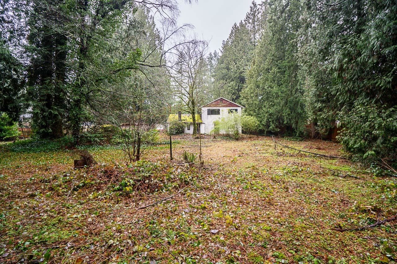 Listing Image 26