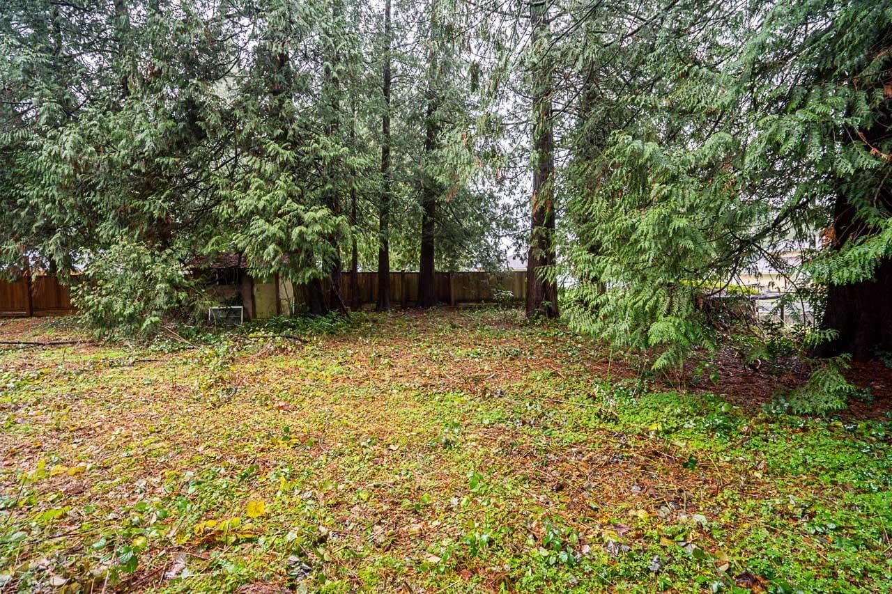 Listing Image 27