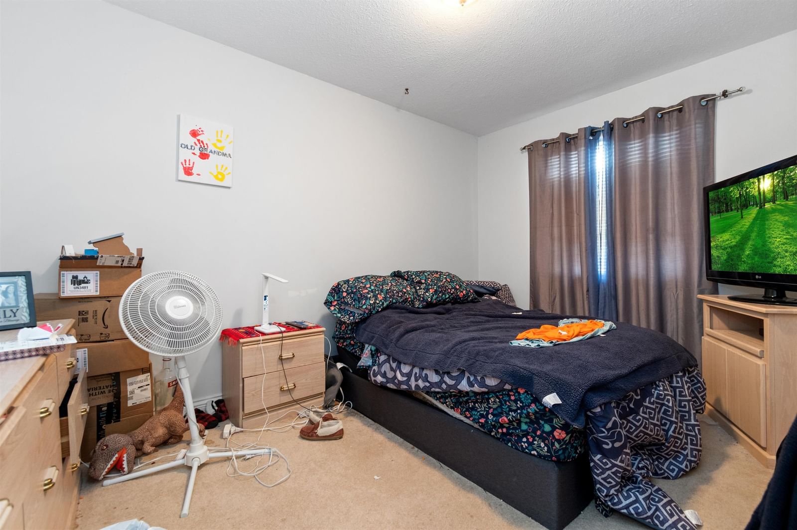 Listing Image 16