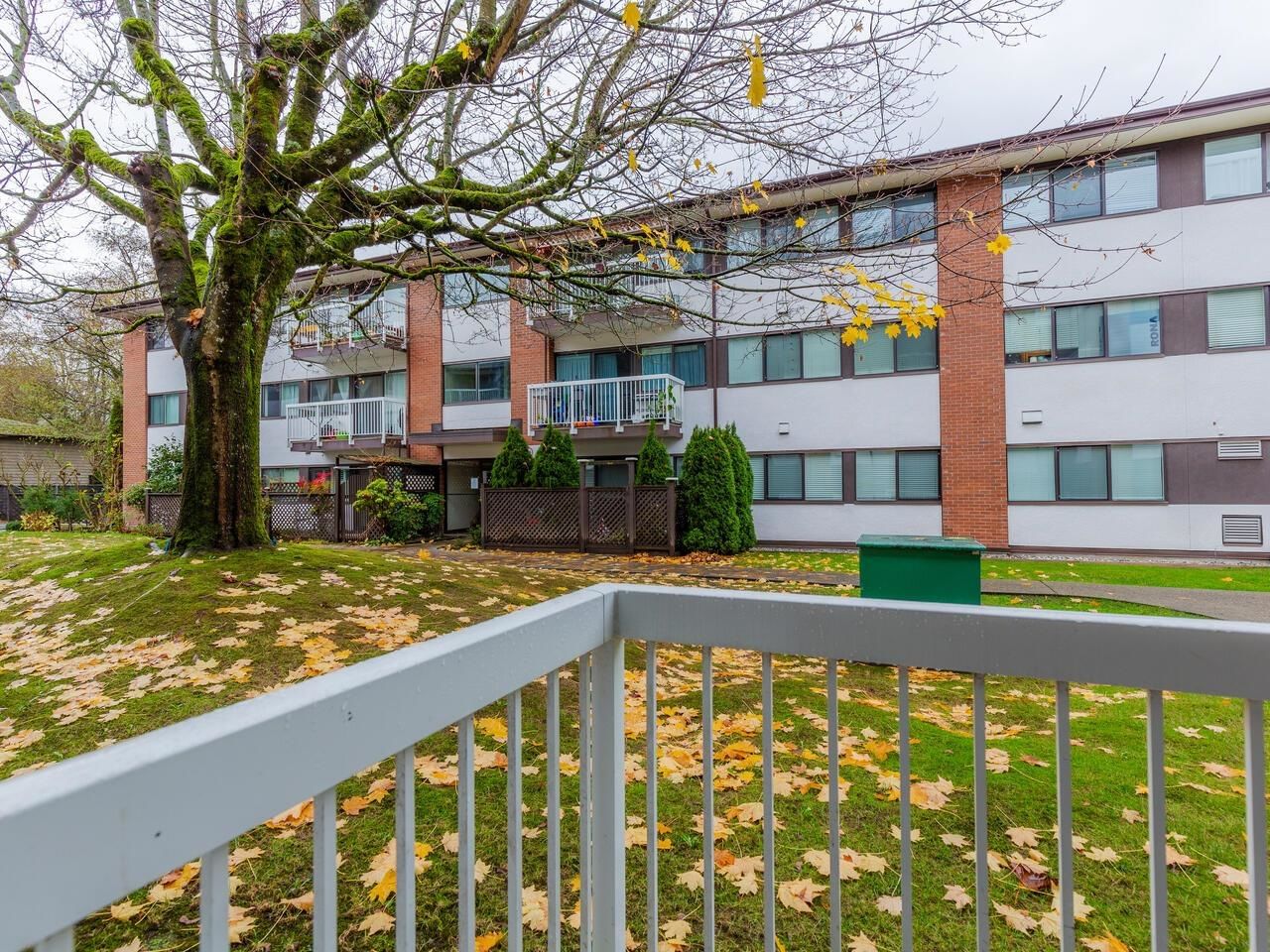 Listing Image 20