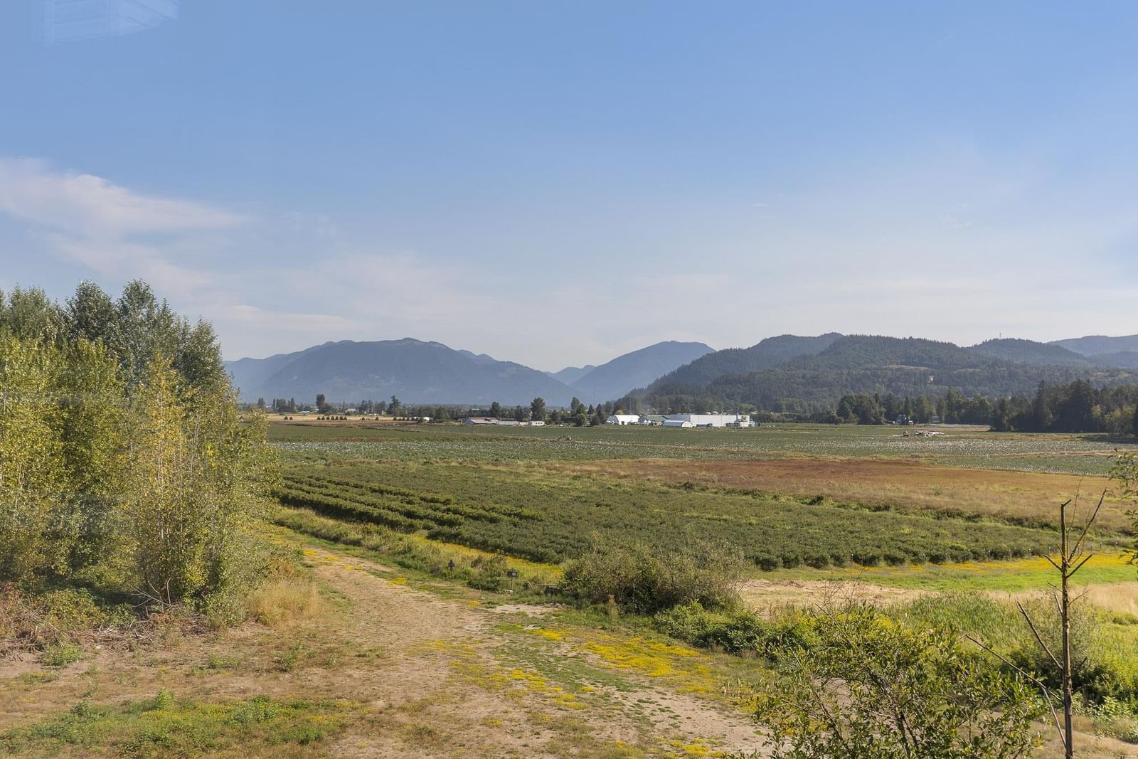 Listing Image 17