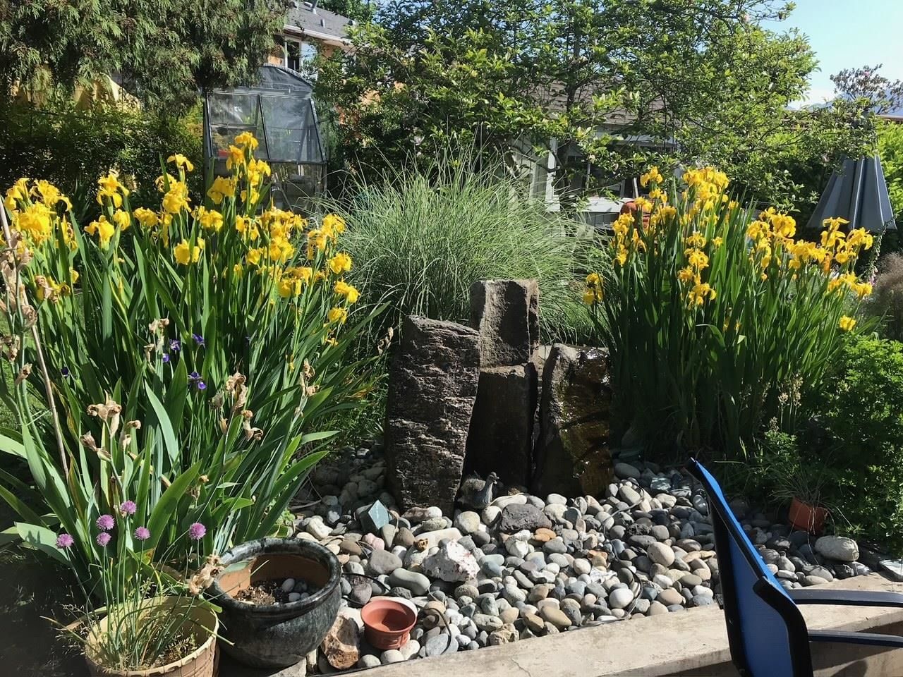 Listing Image 31