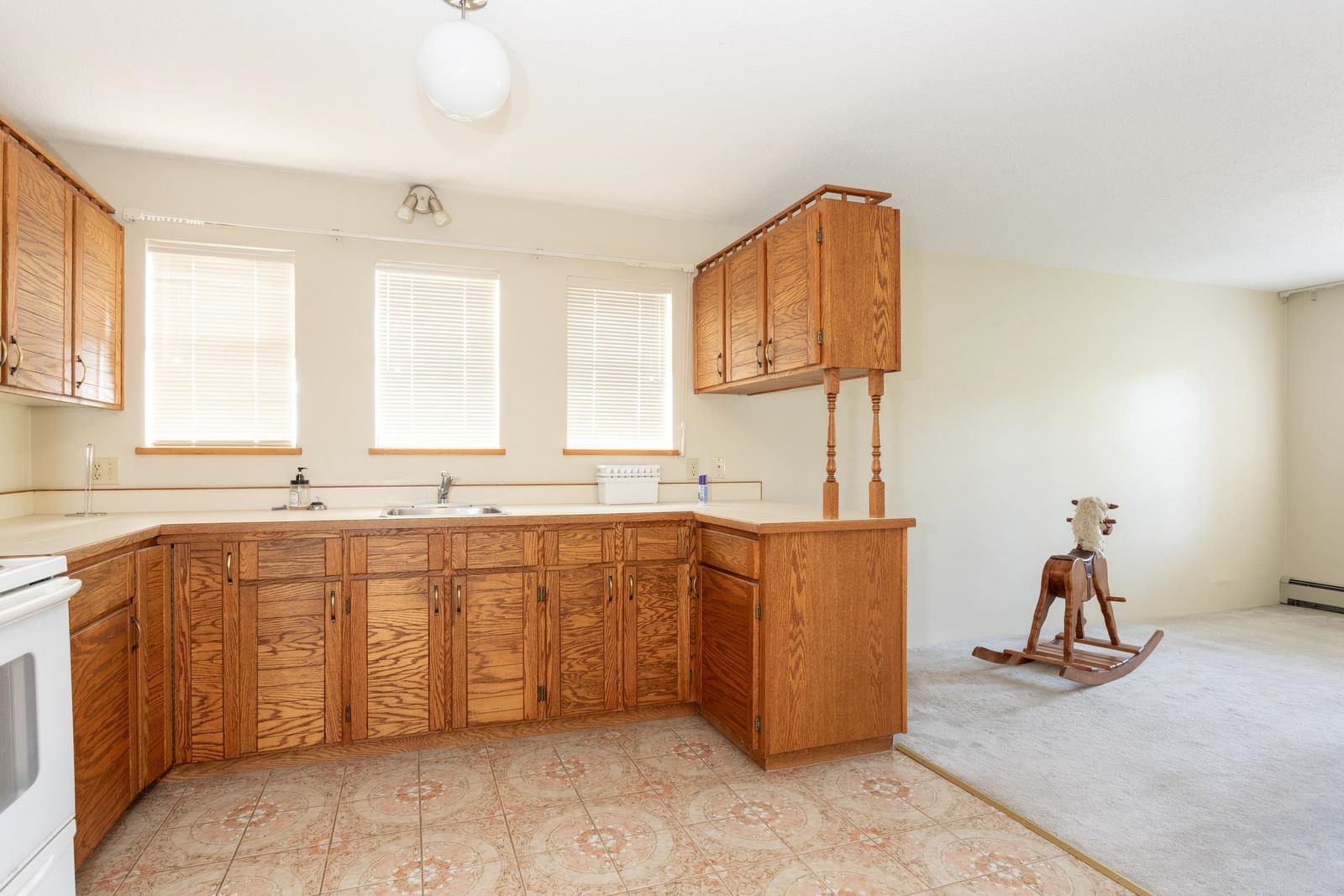 Listing Image 19
