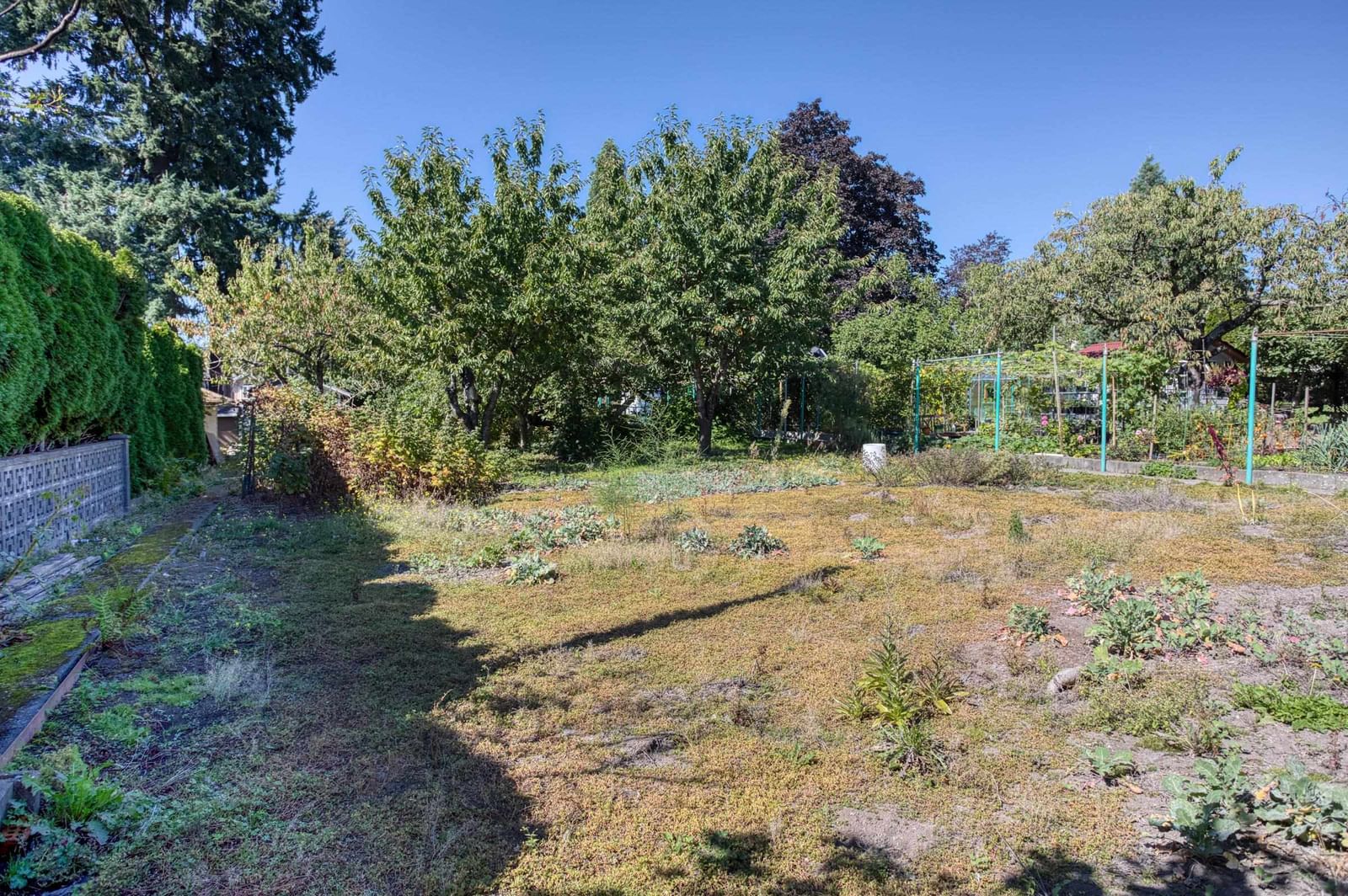 Listing Image 27