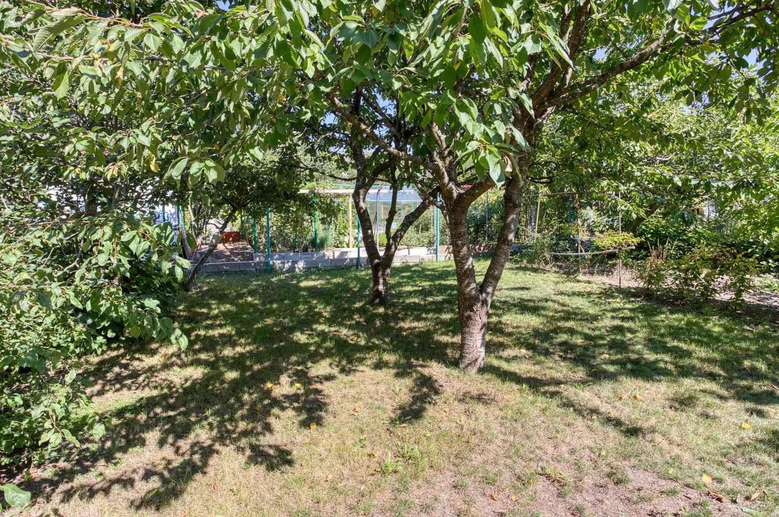 Listing Image 30