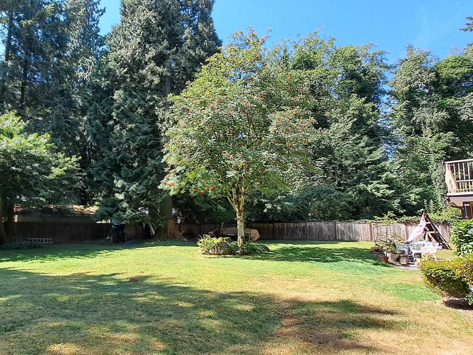 Listing Image 29