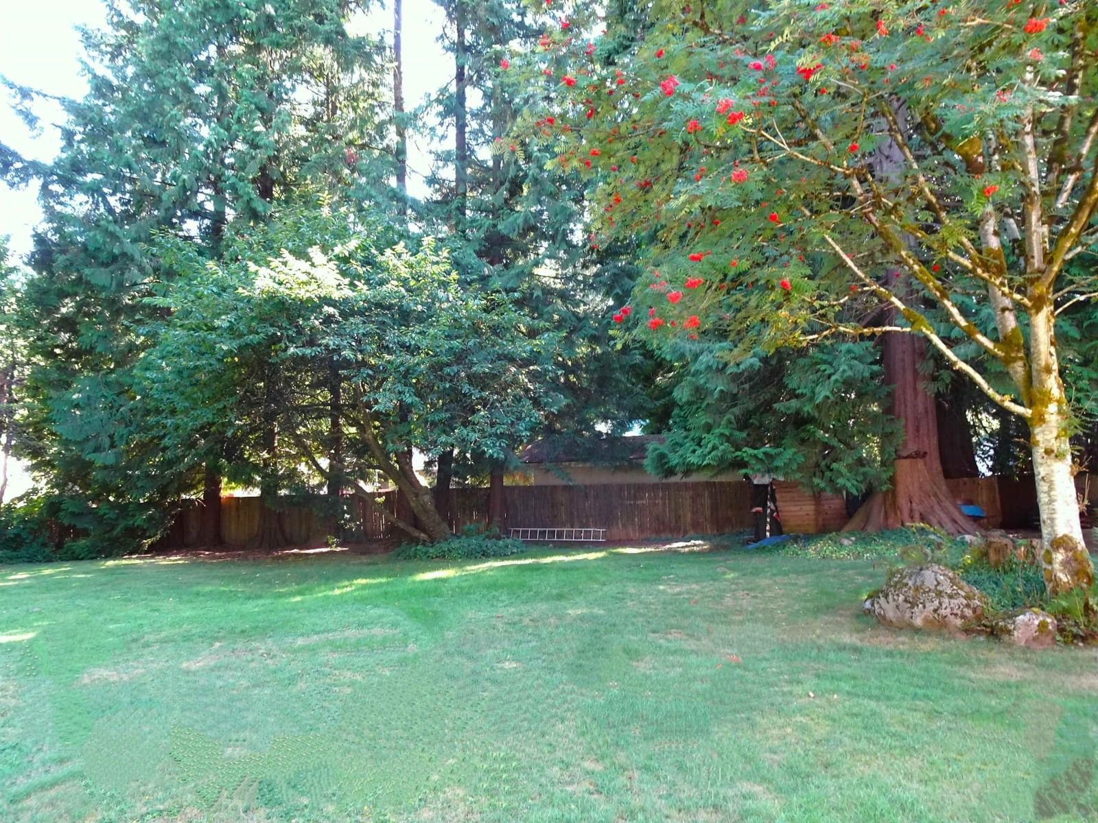 Listing Image 30