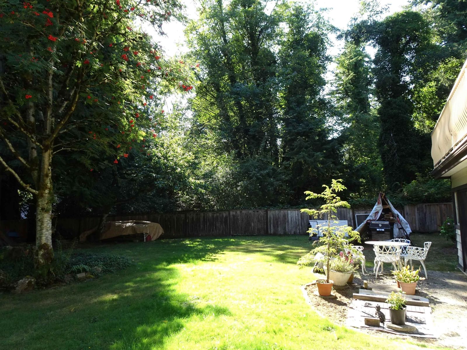 Listing Image 32