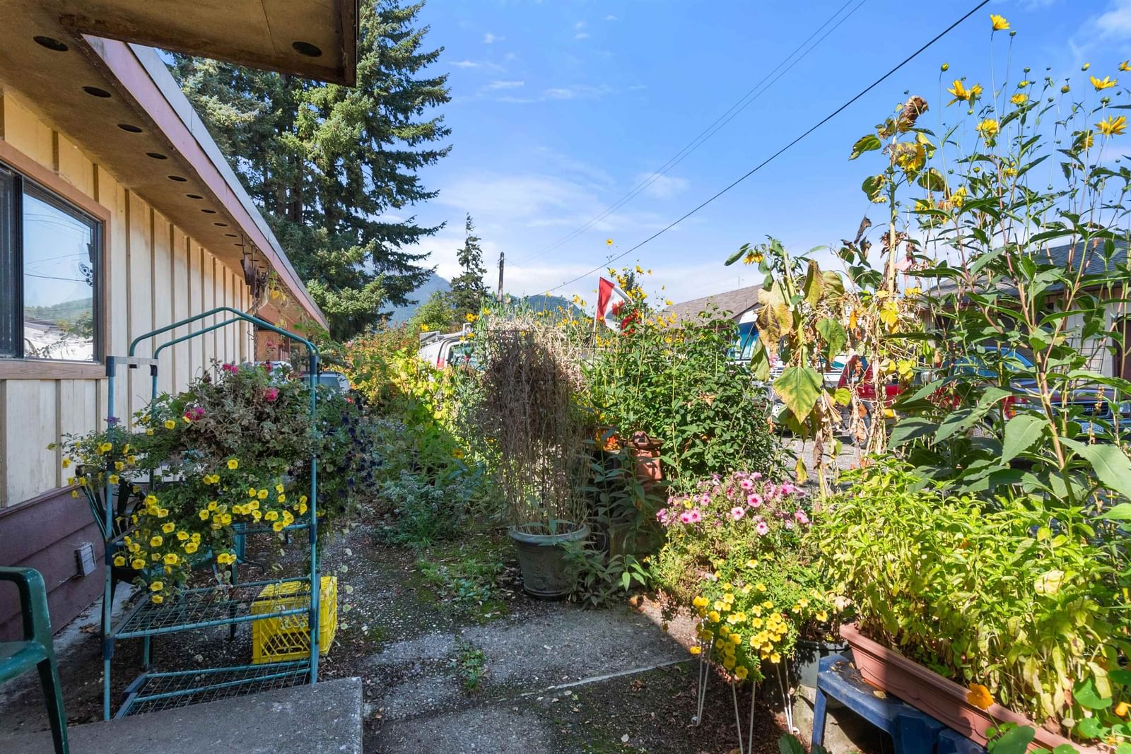 Listing Image 37
