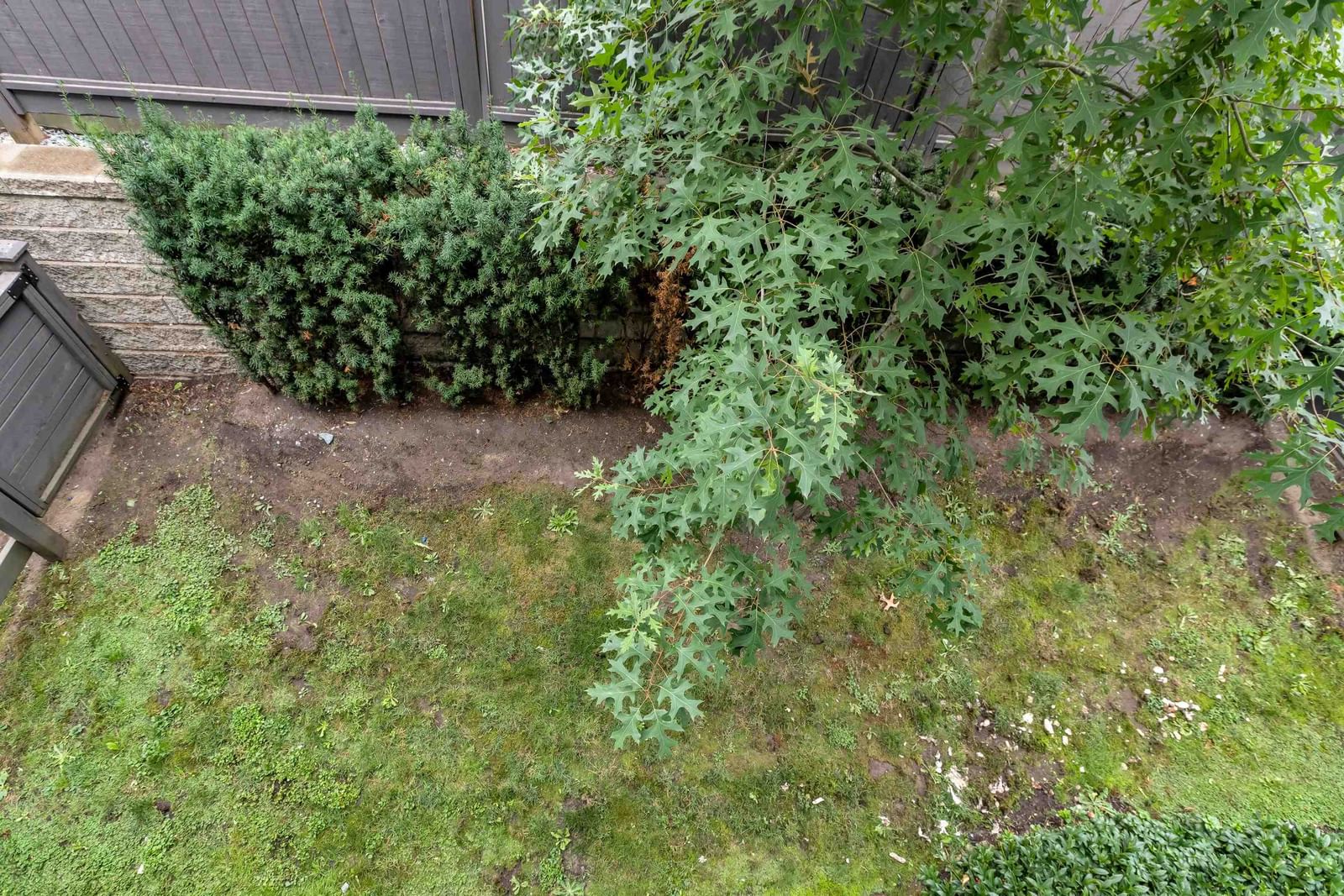 Listing Image 26