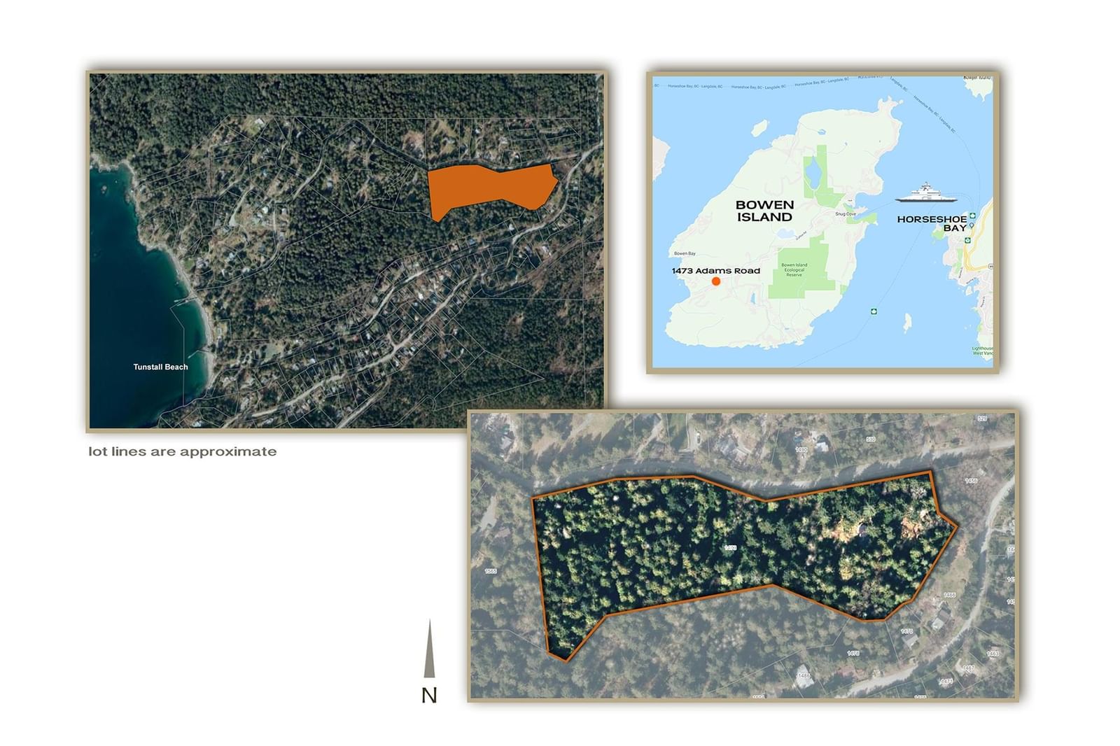 Listing Image 4