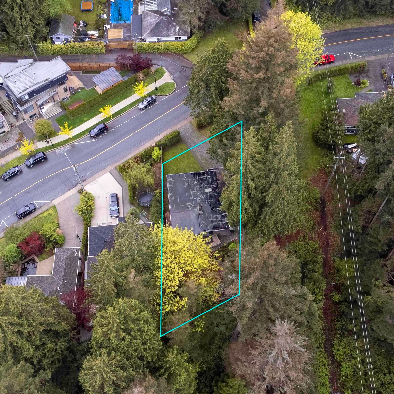 Listing Image 19