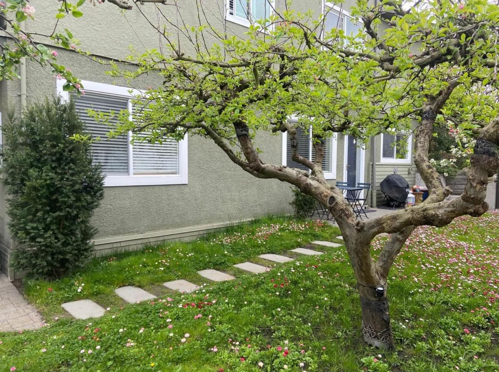 Listing Image 31