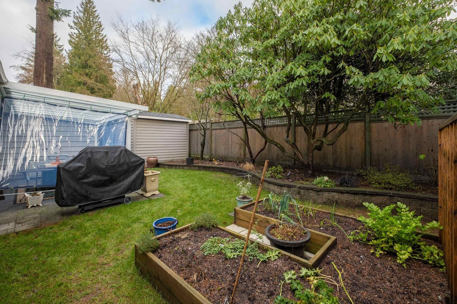 Listing Image 23