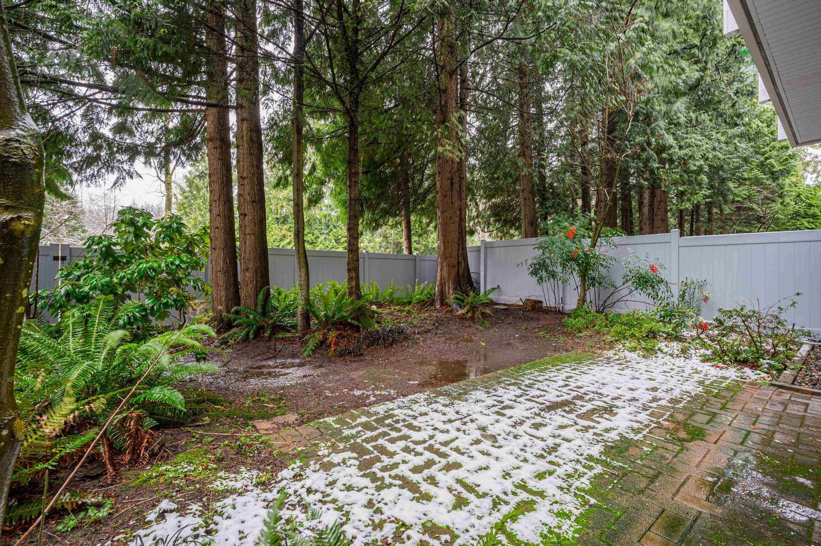 Listing Image 29